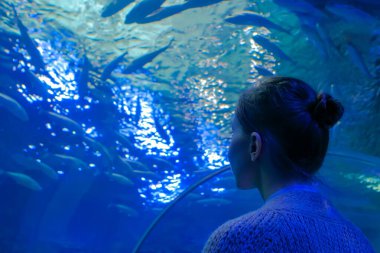 Oceanarium 'da büyük bir akvaryum tankında balık girdabına bakan bir kadın.