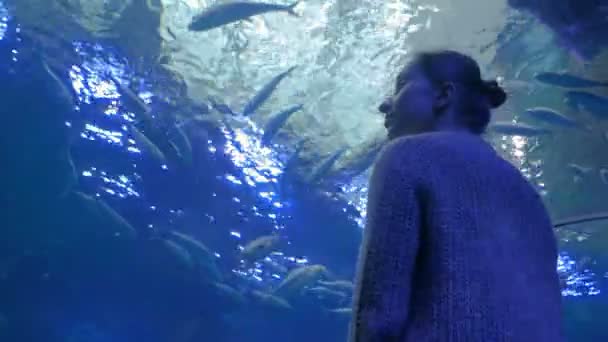 Mujer mirando el vórtice de peces en un gran acuario público en Oceanarium — Vídeos de Stock