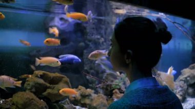Kadın silueti Oceanarium 'daki büyük bir akvaryum tankında balıklara bakıyor.