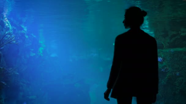 Frauensilhouette beim Anblick von Fischen im großen Aquarium des Ozeanariums — Stockvideo