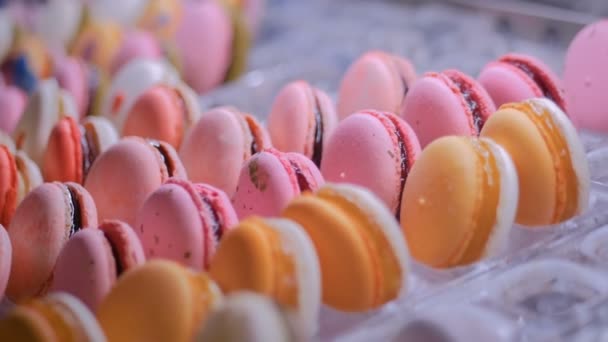 Coloridos macarrones en escaparate de la tienda de dulces — Vídeo de stock