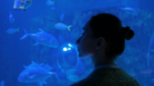 Kadın silueti büyük bir akvaryum tankındaki balıklara bakıyor. — Stok video