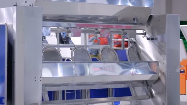 Automatic feeding system for dairy cows at agricultural animal exhibition — Stock Video