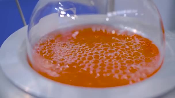 Equipo de calefacción del matraz inferior redondo de laboratorio - líquido naranja hirviendo: primer plano — Vídeo de stock