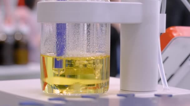 Equipo de laboratorio - mezclador magnético con barra de agitación móvil para mezclar líquido — Vídeos de Stock