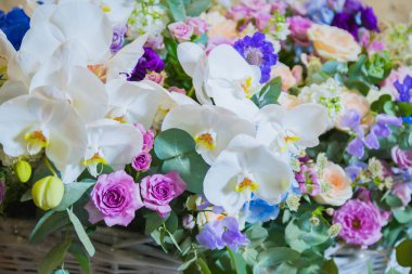 Çiçekçi dükkanında çiçekli büyük bir sepet - yakın görüş