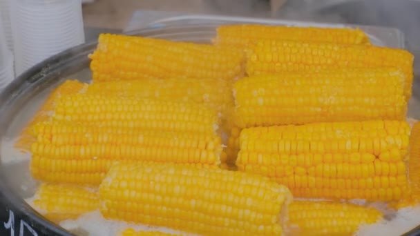 Close up: process of cooking yellow corn cobs in saucepan at outdoor food market — Stock Video