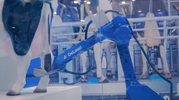 Máquina automática del brazo del robot de ordeño en la granja de ganado lechero, feria comercial — Vídeo de stock