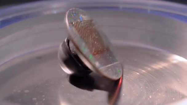 Movimento lento: giroscópio de metal spinning top - close-up — Vídeo de Stock