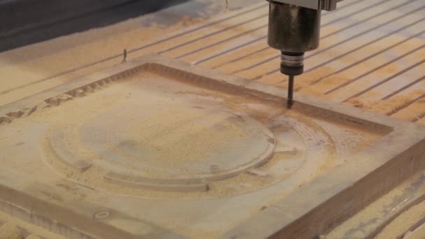 Фрезерный станок резки деревянной детали из древесной целлюлозы на технологической выставке — стоковое видео