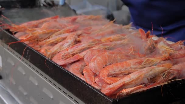 Slow motion: proces van het koken van verse rode langoustine op grill - street food — Stockvideo