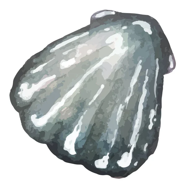 水彩手画海贝壳 — 图库矢量图片
