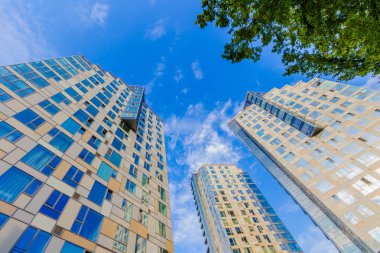 Ağaç ve berrak gökyüzü ile uzun boylu konut binasında arıyorum