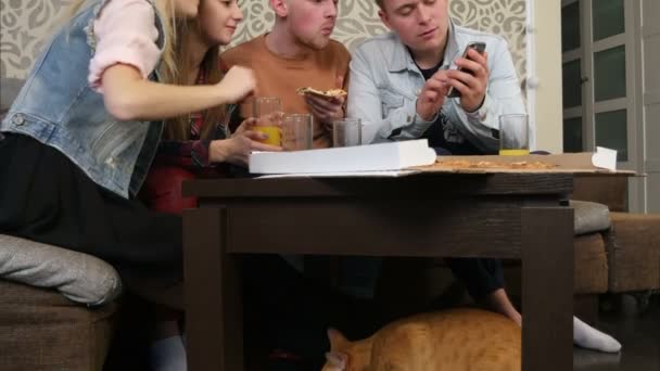 Gato faminto está debaixo da mesa, enquanto as pessoas estão comendo — Vídeo de Stock