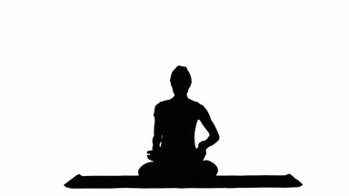 Pratik yoga, tam Lotus alıştırmada, Siddhasana poz oturan, parça mat çalışma sportif çekici kadın