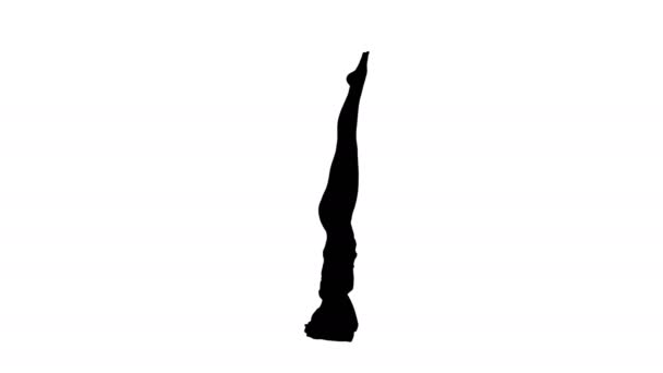 Jovem mulher fazendo sirsasana ioga pose faixa fosco — Vídeo de Stock