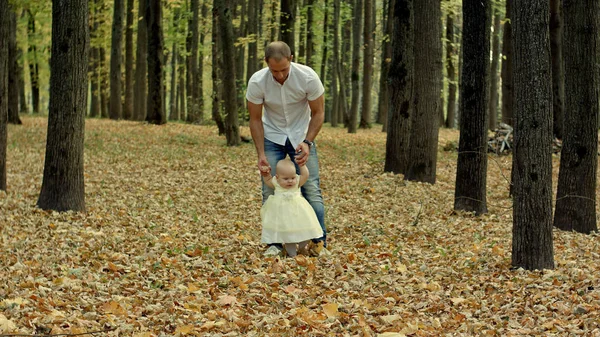 Father and his baby make first step in autumn park