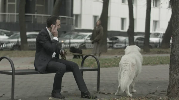 Ділова людина зі своїм білим собакою розмовляє по телефону інший чорний собака на фоні — стокове фото