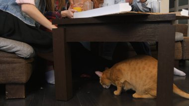 Eyvah, pizza yemek ve konuşmak genç arkadaşlar süre yemek masasının altında kırmızı kedi
