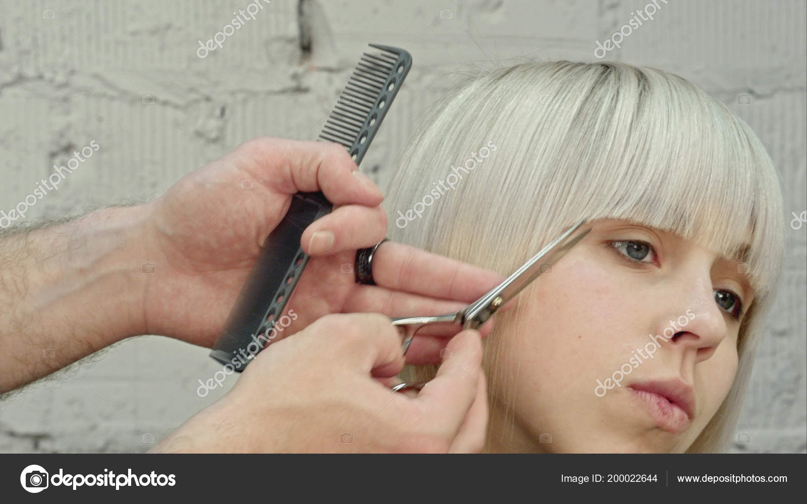 Young Beautiful Woman Having Her Hair Cut Hairdressers Professional Shot  Stock Photo by ©FancyStudio 200022644