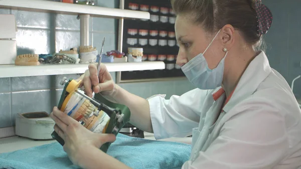 Manos de dentista sosteniendo una mandíbula, haciendo implante dental —  Fotos de Stock