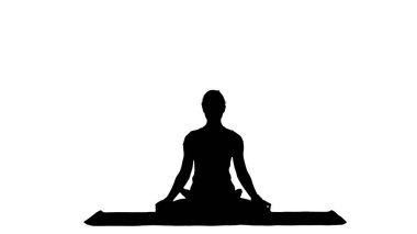 Woman practicing yoga in lotus pose with namaste hands gesture track matte clipart
