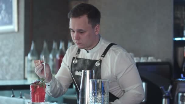 Barman maken en decoreren van cocktail — Stockvideo