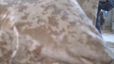 Moda Tasarımcısı stüdyosunda çalışma