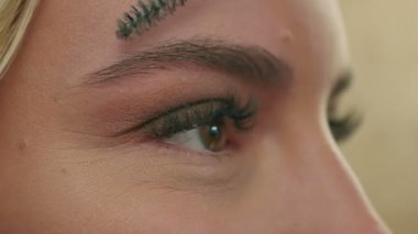 Makyaj sanatçısı tarak kaşları, prepearing model