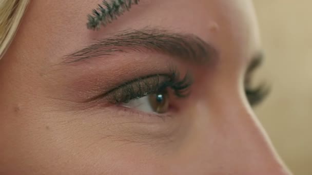 Maquillaje artista peina las cejas, modelo de preaparición — Vídeos de Stock