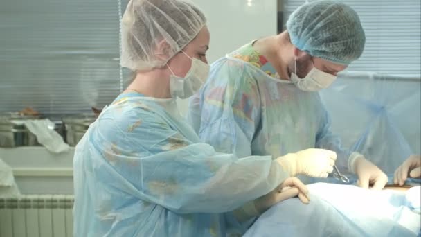 Cirujanos cosidos paciente en quirófano — Vídeos de Stock