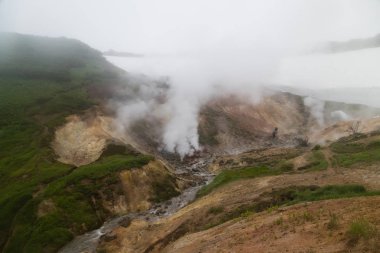Kamçatka Mutnovsky jeo elektrik santrali yakınında gayzerküçük bir vadi