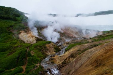 Kamçatka Mutnovsky jeo elektrik santrali yakınında gayzerküçük bir vadi