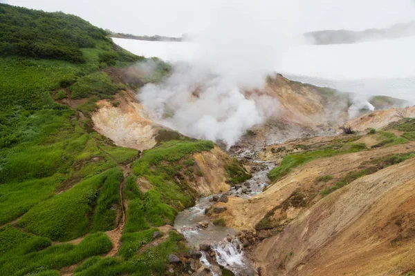 Kamçatka Mutnovsky jeo elektrik santrali yakınında gayzerküçük bir vadi
