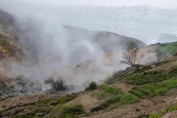 Kamçatka Mutnovsky jeo elektrik santrali yakınında gayzerküçük bir vadi