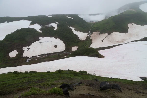 Kamçatka Mutnovsky jeo elektrik santrali yakınında gayzerküçük bir vadi