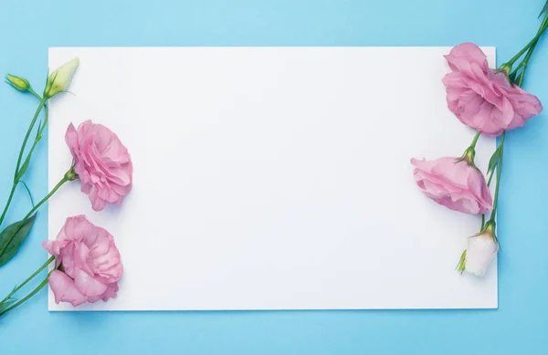 Flowers composition. Wreath made of pink flowers with white paper card on blue background. Flat lay, top view, copy space