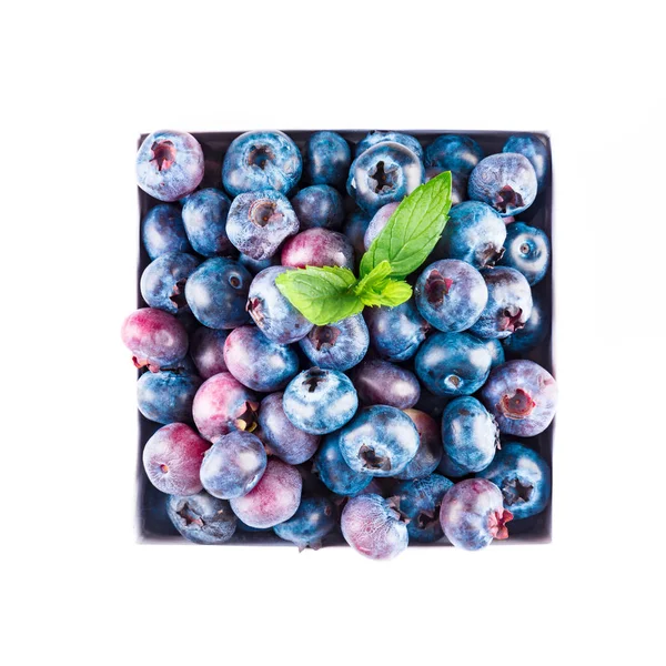 Fresh blueberries and leaves, berry frame isolated on white background, top view — Stock Photo, Image