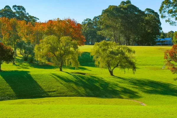 Green Park and green and red fall trees in urban City at Sunset. Autumn landscape — Stock Photo, Image