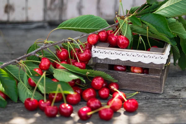 Cherries with leaves in vintage wooden box on rustic wooden table. Copy space — Stock Photo, Image