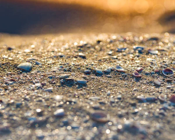 Soft Wave Of Blue Ocean On Sandy Beach. Antecedentes Enfoque selectivo. —  Fotos de Stock