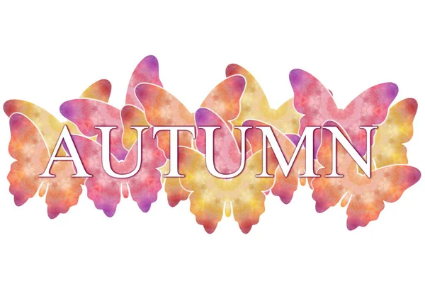 的背景与多彩的蝴蝶 横幅装饰 明信片和设计 秋季季节背景 字样的海报 设计模板 — 图库照片