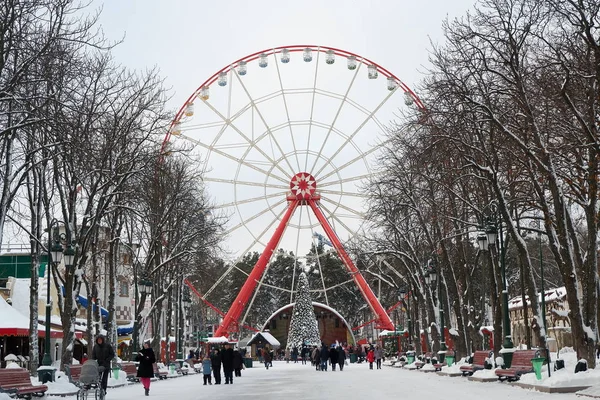 Kharkov Ukraine December 2018 Ferris Wheel Christmas Tree Gorky Park — Stock Photo, Image