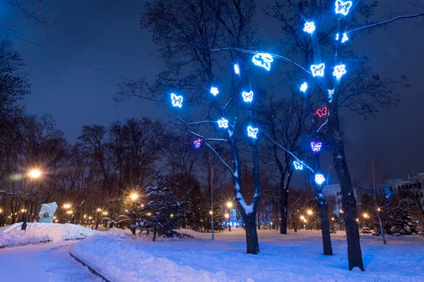 Evening in Kharkiv winter park and street lamp. Christmas city lights — Stock Photo, Image