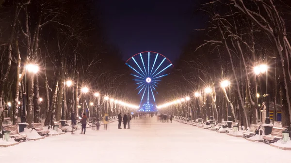 Evening in Kharkiv winter park and street lamp. Christmas city lights — Stock Photo, Image