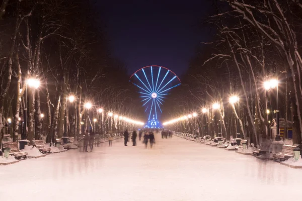 Evening in Kharkiv winter park and street lamp. Christmas city lights — Stock Photo, Image