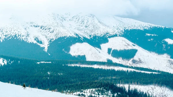 Vista de invierno desde la estación de esquí Jasna, Montaña Chopok — Foto de Stock