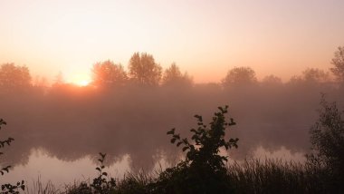 Nehirde puslu bir şafak, güzel bir yaz sabahı ormanda güneş ışınları ve nehirden gelen bir sis