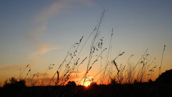 Feliz nuevo concepto del día: salida del sol del verano sobre el hermoso campo y el cielo impresionante — Foto de Stock