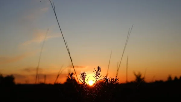 Feliz nuevo concepto del día: salida del sol del verano sobre el hermoso campo y el cielo impresionante — Foto de Stock